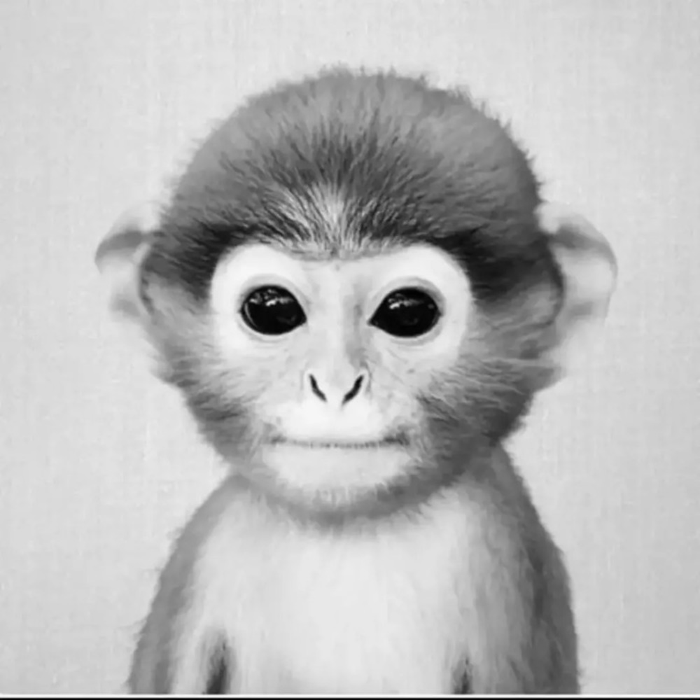 Meet your Posher, Valentina